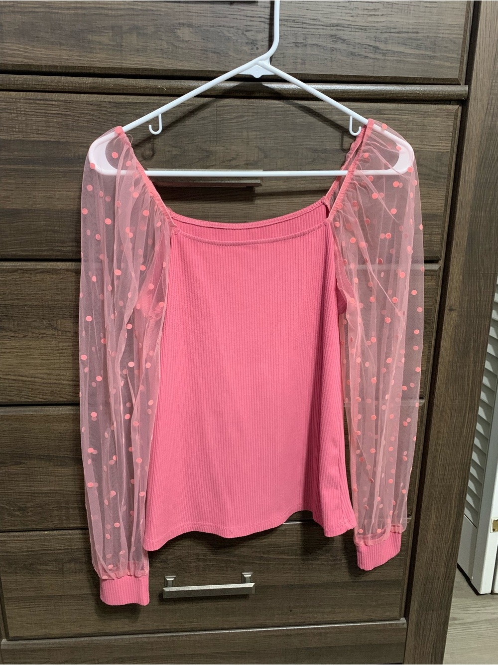 Boutique top with sheer sleeves